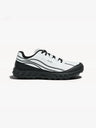color:alpine white