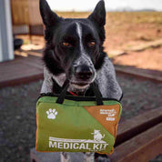Trail Dog Medical Kit