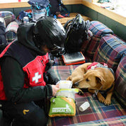 Trail Dog Medical Kit