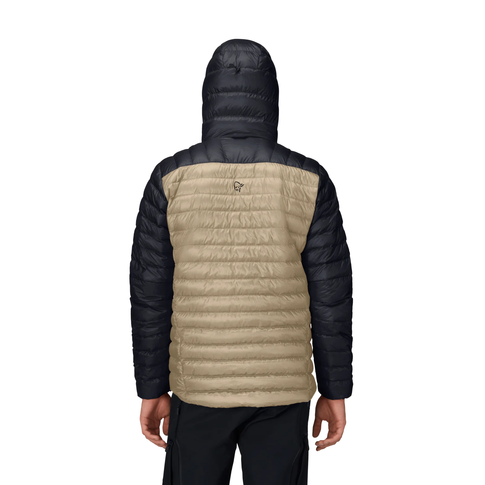 Men's Lofoten Down800 Anorak