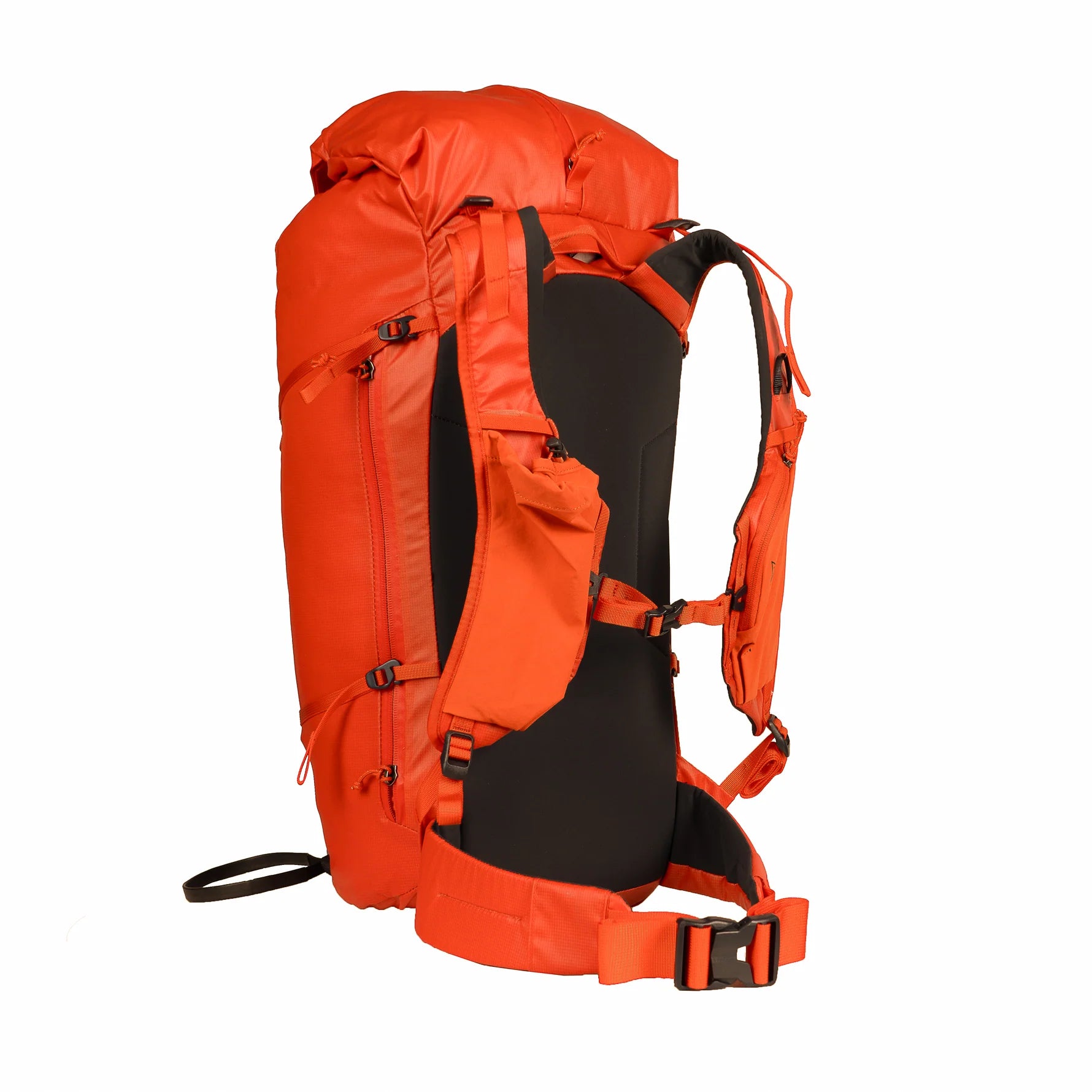 Firecrest 38 Pack