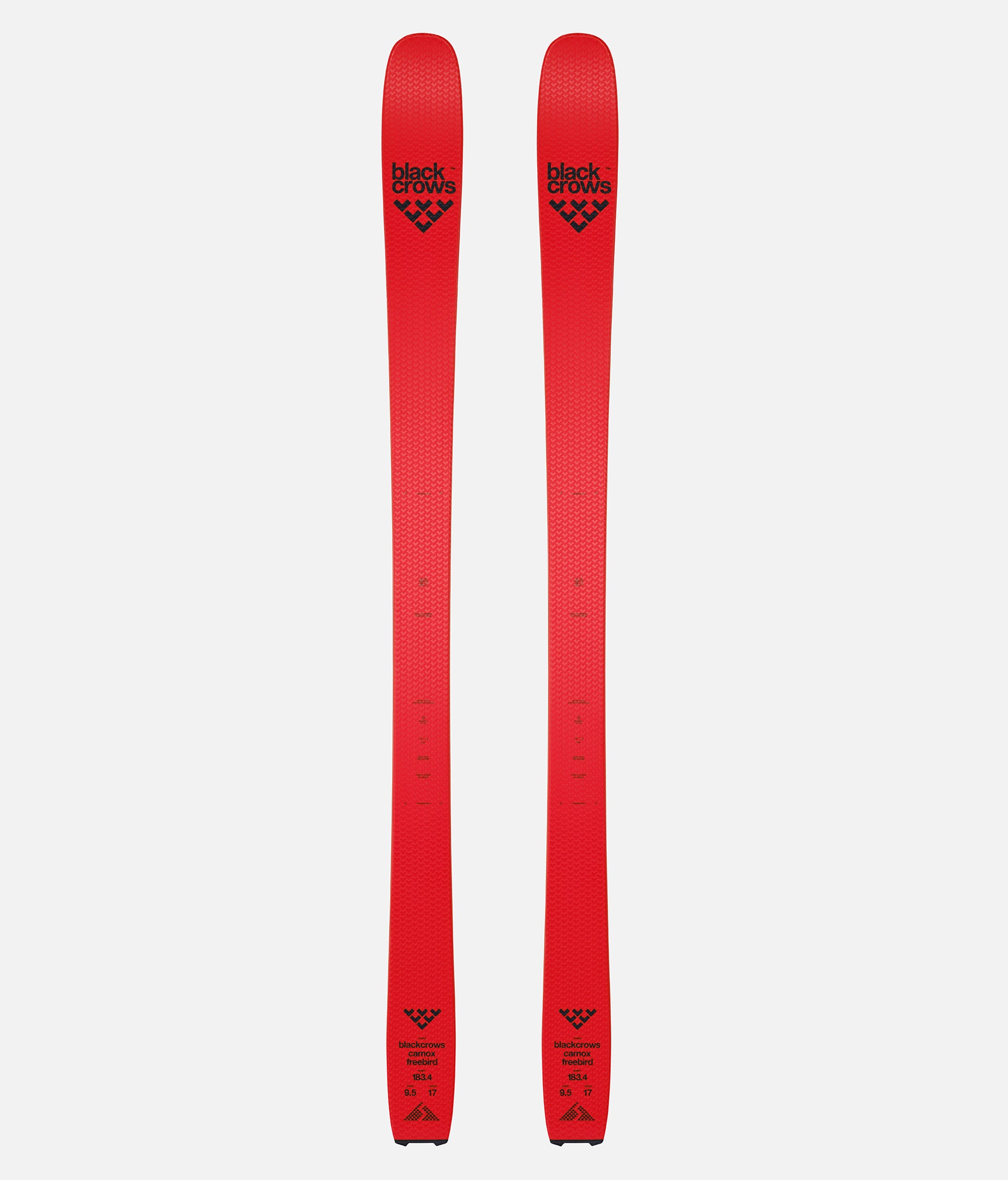Camox Freebird Skis 2025