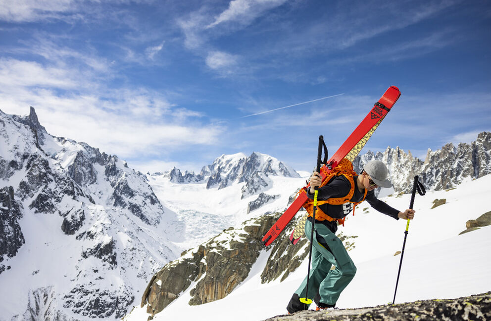 Camox Freebird Skis 2025