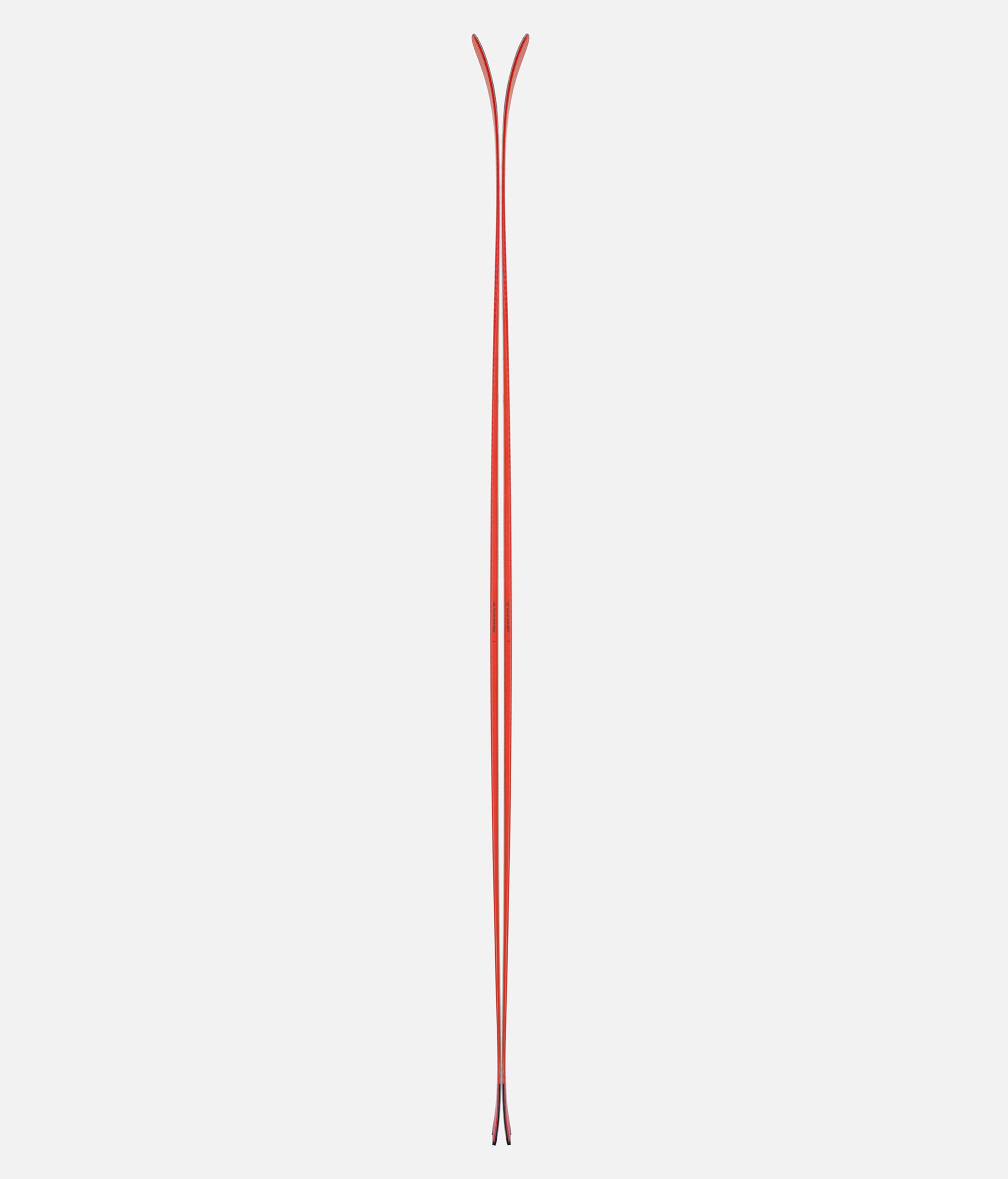 Camox Freebird Skis 2025