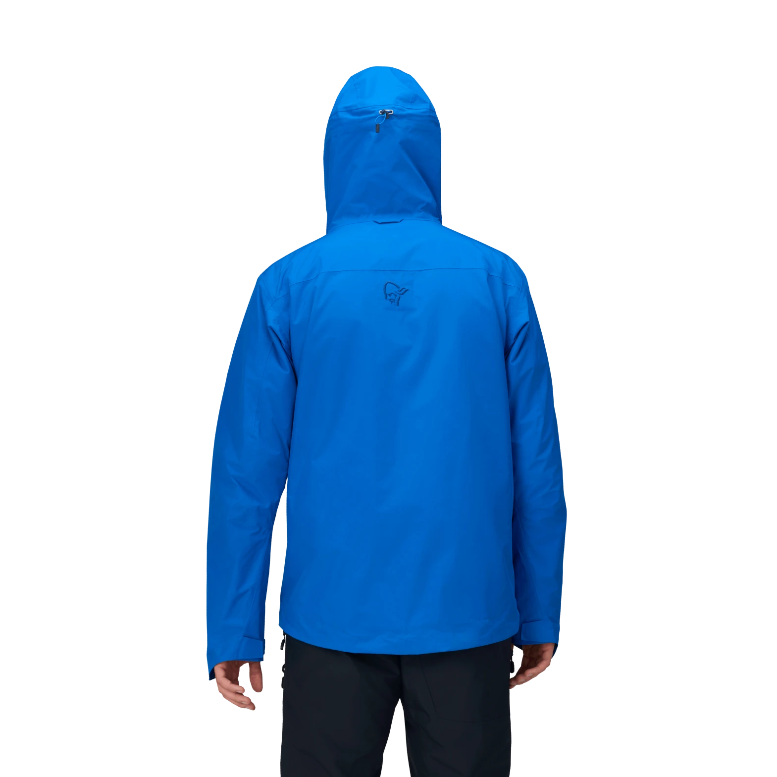 Men's Lofoten Gore-Tex Insulated Jacket
