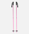 Meta Ski Poles
