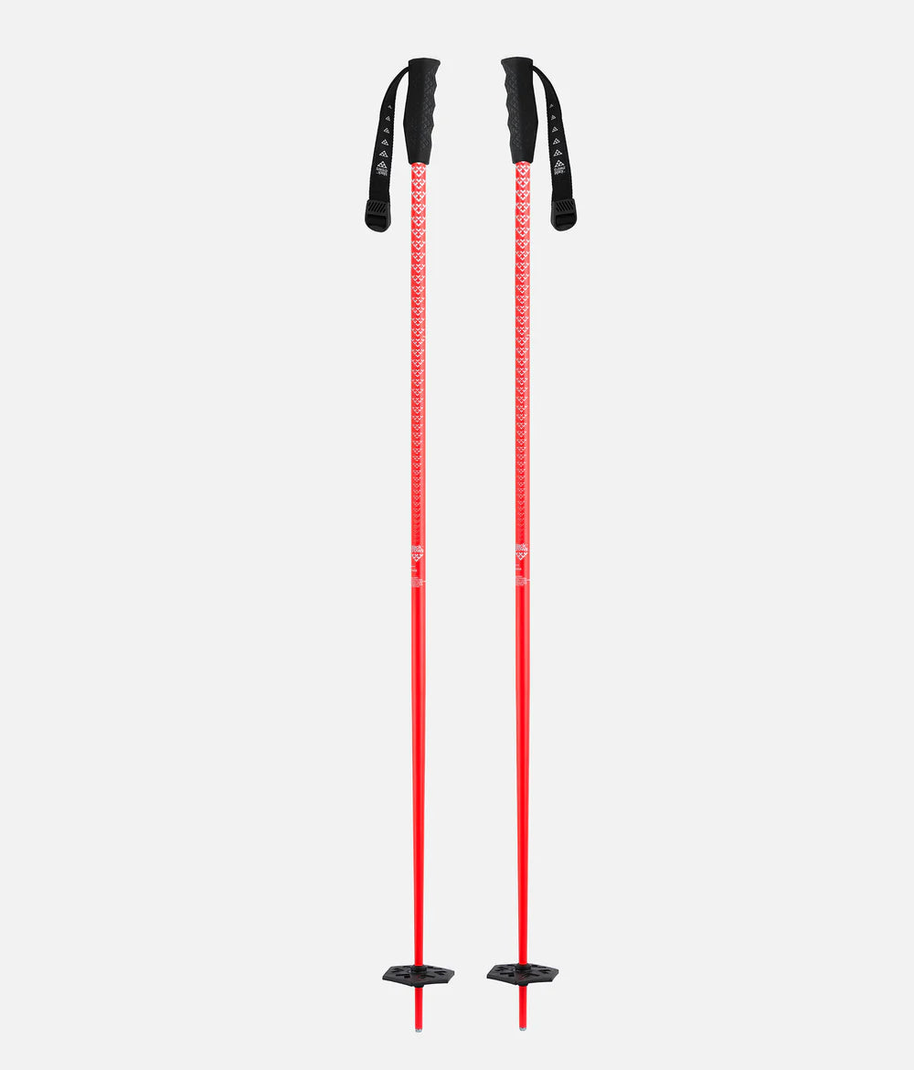 Meta Ski Poles