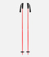 Meta Ski Poles