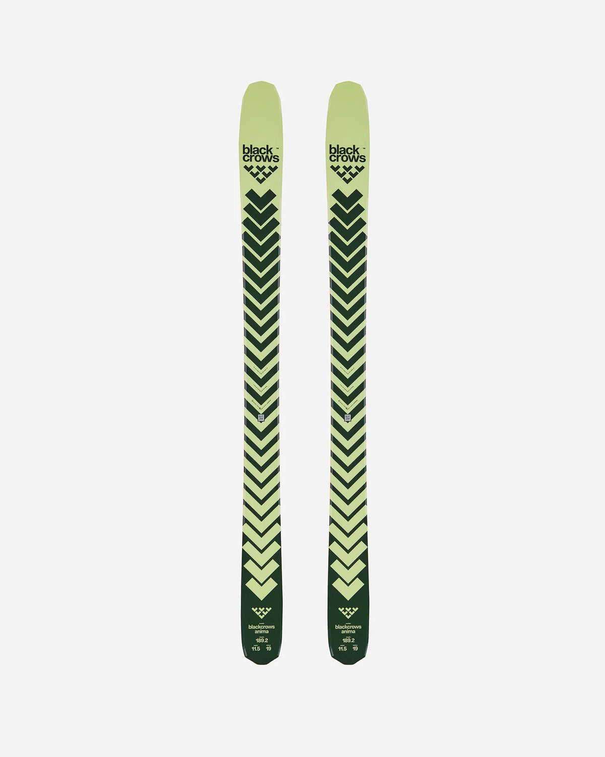 Anima Skis 2027 product image