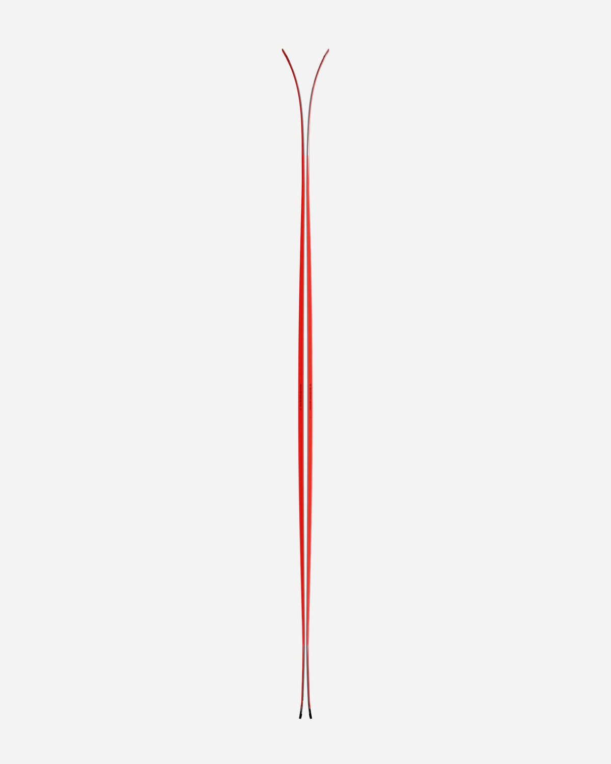 Camox Freebird Skis 2027 product image