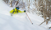 Original Bamboo Ski Poles