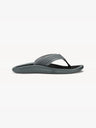 color:dark shadow / black