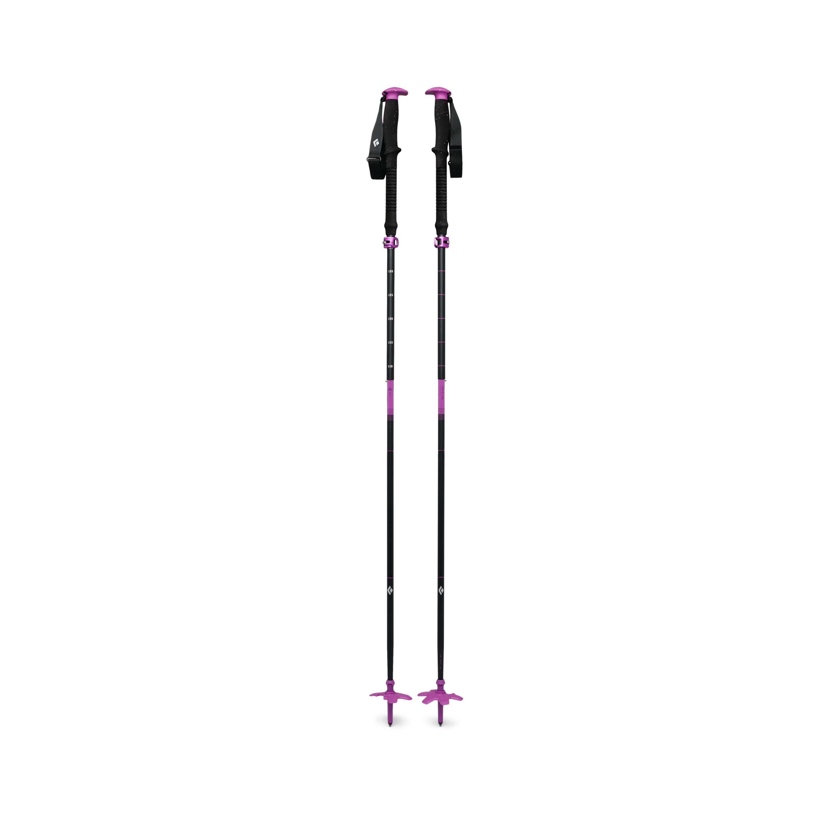 Expedition Ski Poles