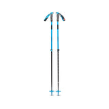 Ski Poles