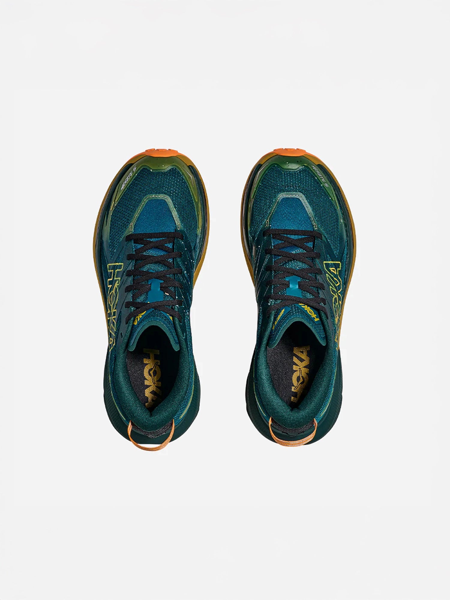 color:tidal wave
