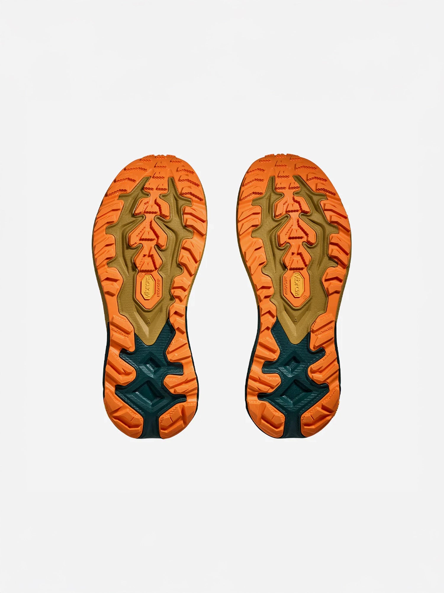 color:tidal wave