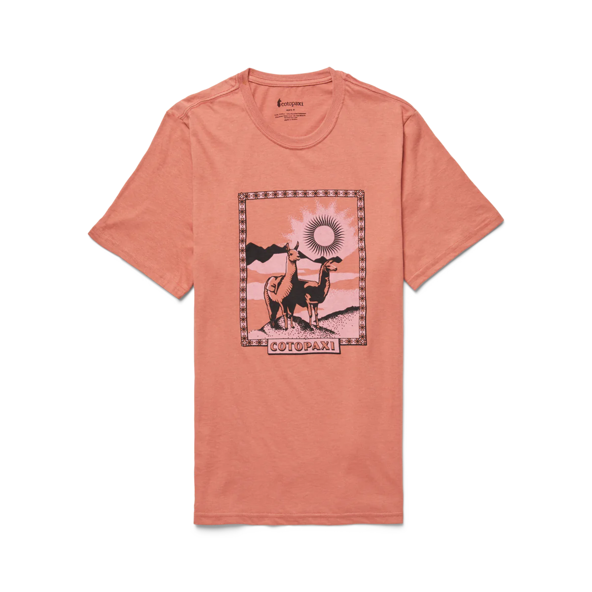 Cotopaxi Men's Llama Greetings T-Shirt