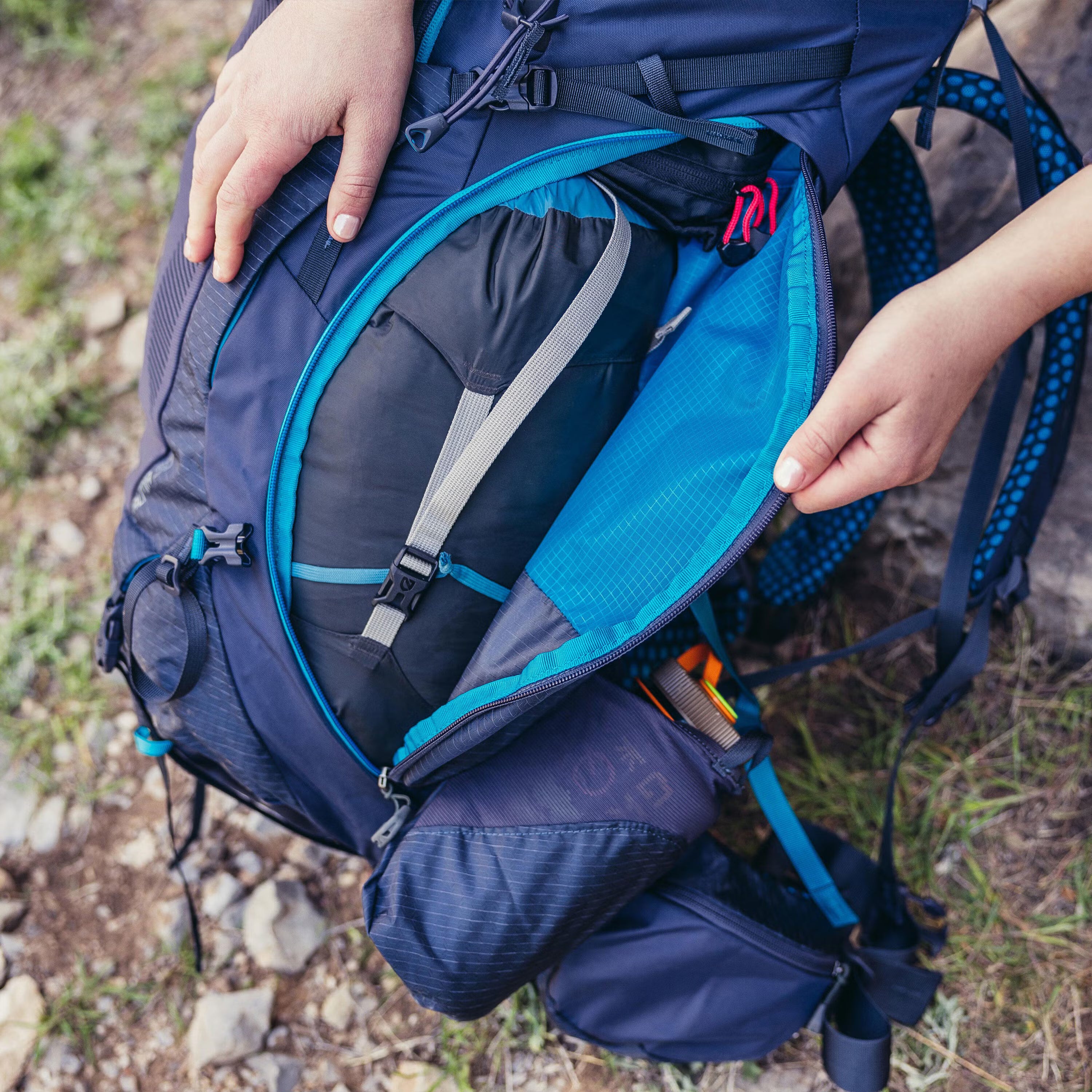Kalmia 60 Pack