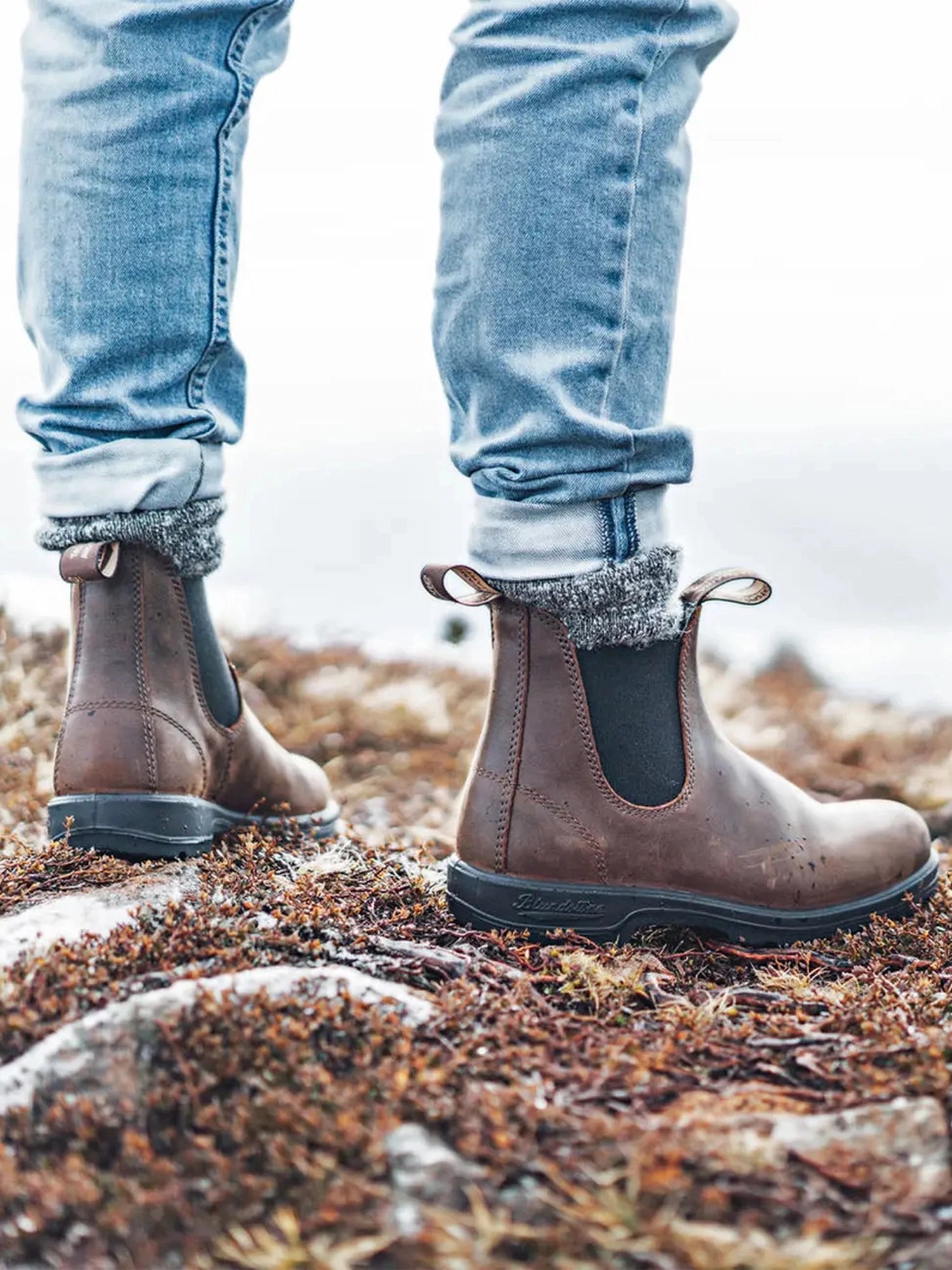 color:antique brown