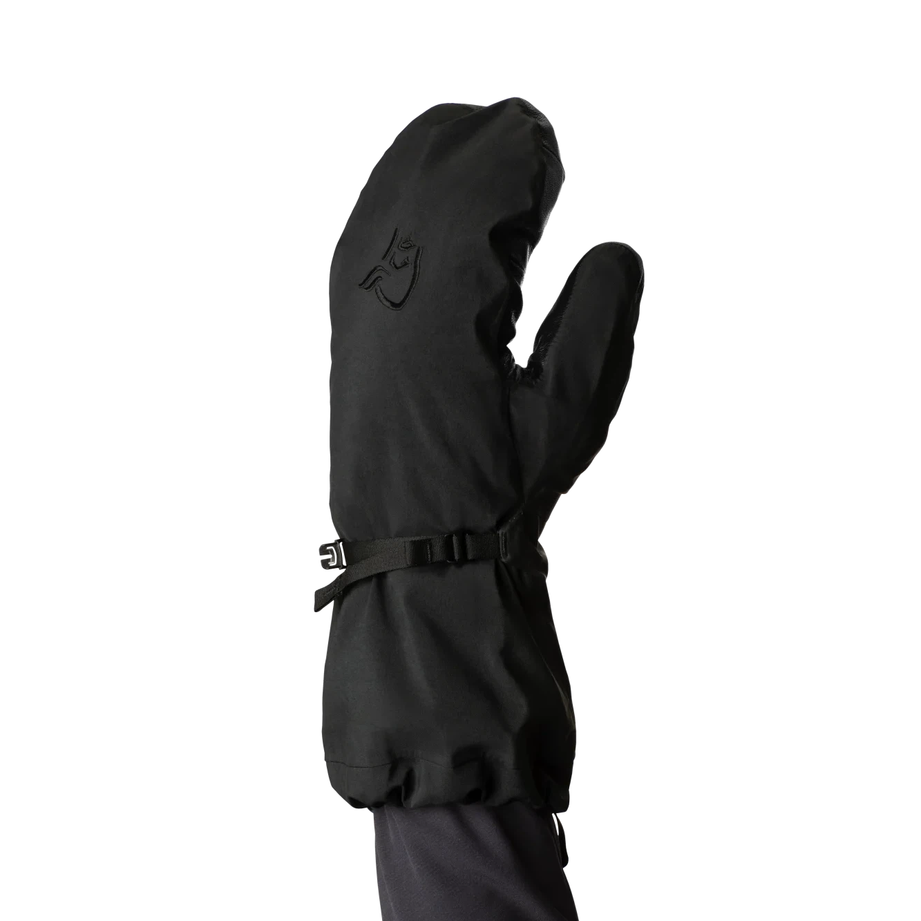 Trollveggen Gore-Tex Pro Mittens