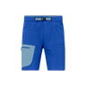 Men's Falketind Flex1 Light Shorts (Past Season)