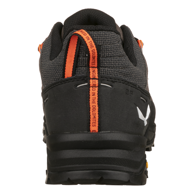 Men's Alp Trainer 2 Hiking Shoes