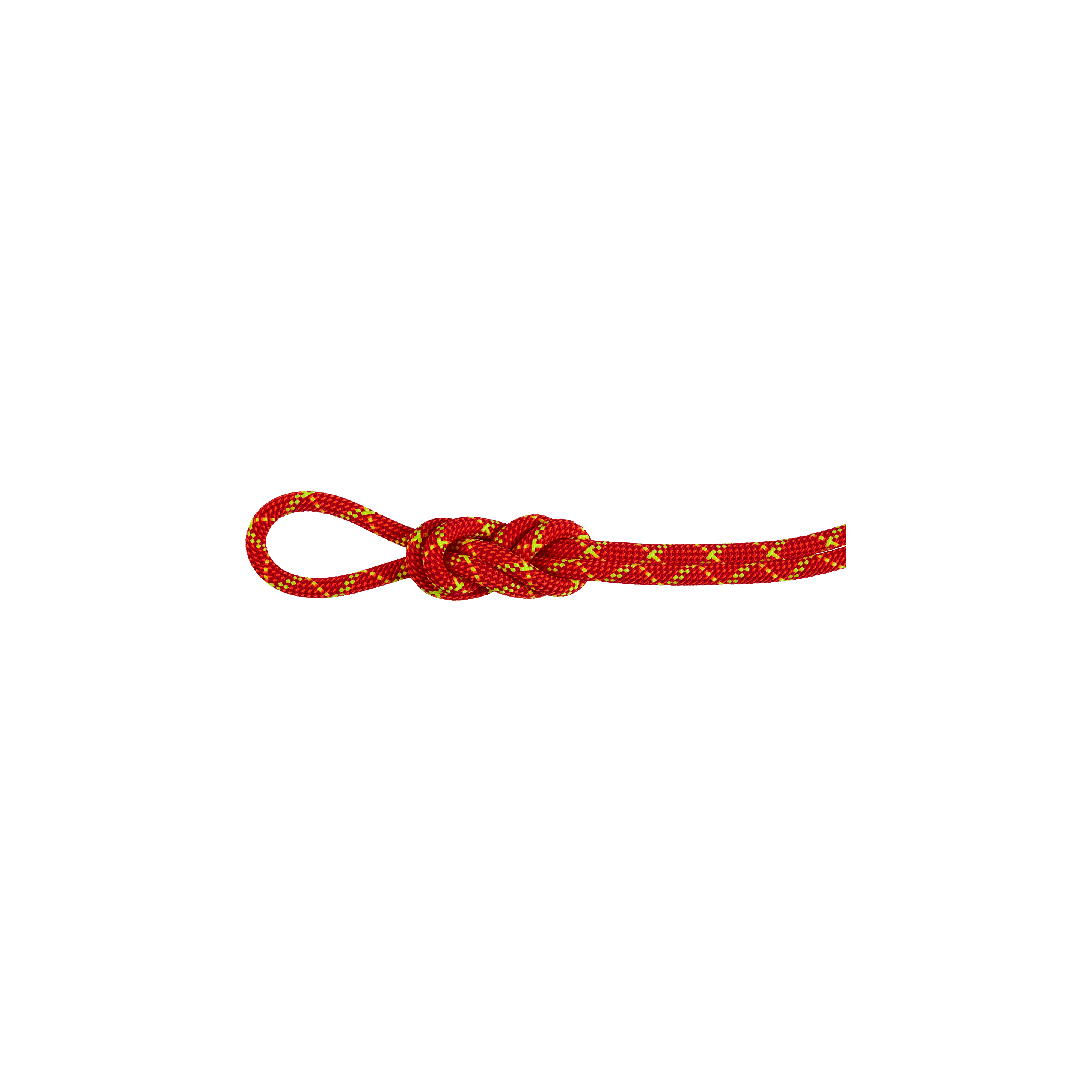8.0 Alpine Core Protect Dry Rope