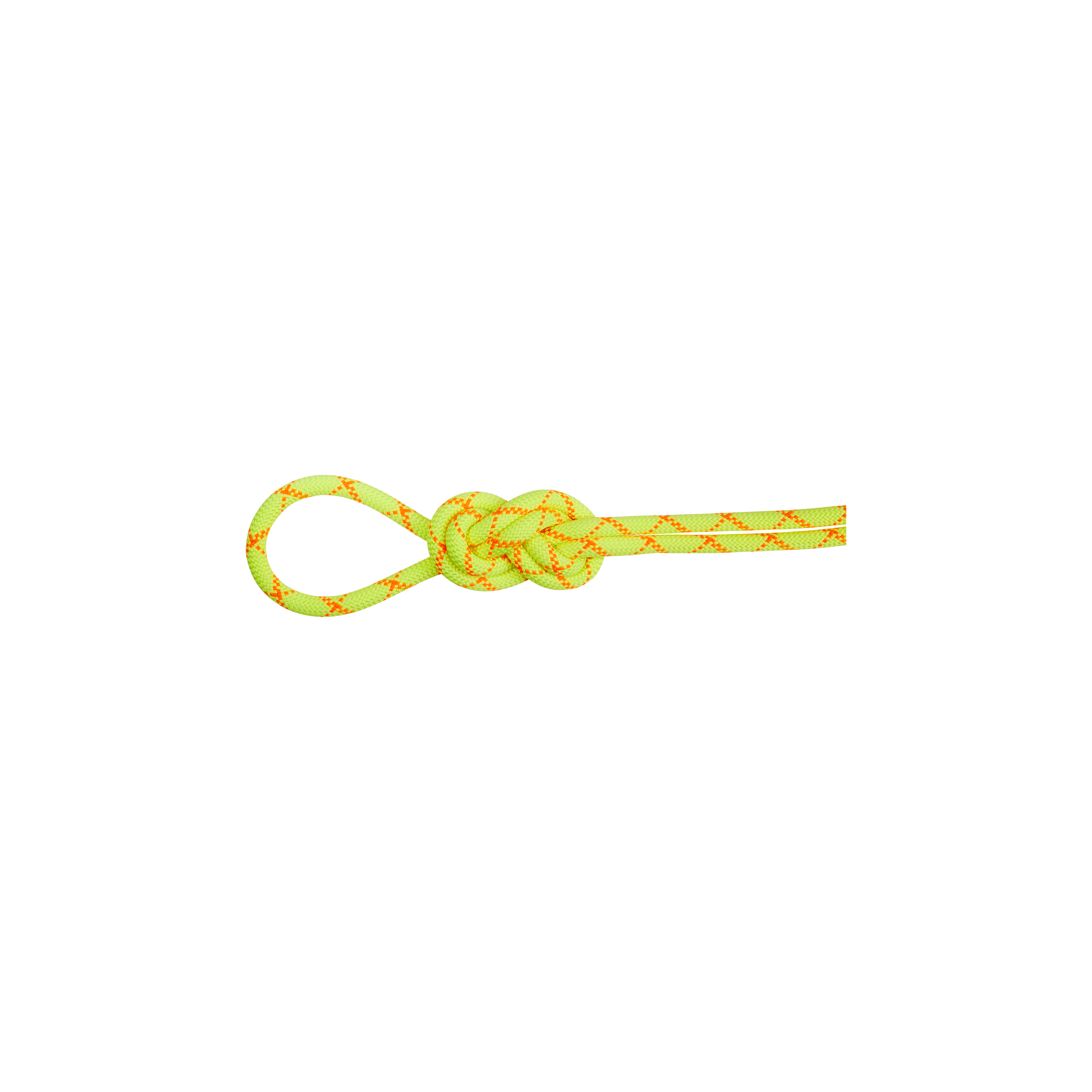 9.5 Alpine Core Protect Dry Rope