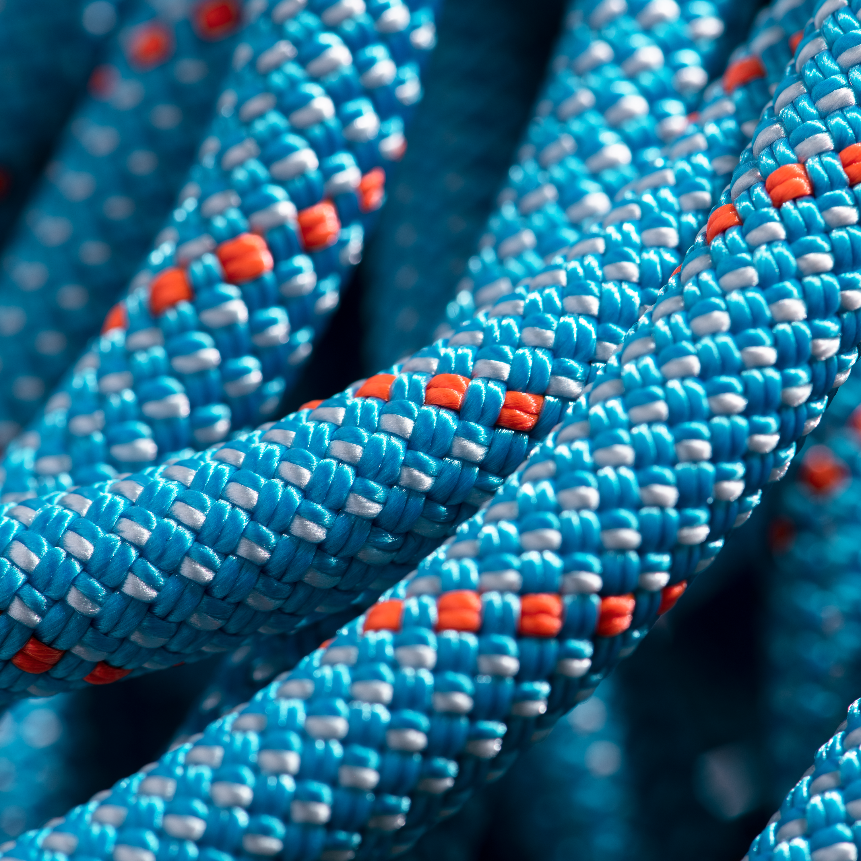 9.8 Crag Classic Rope