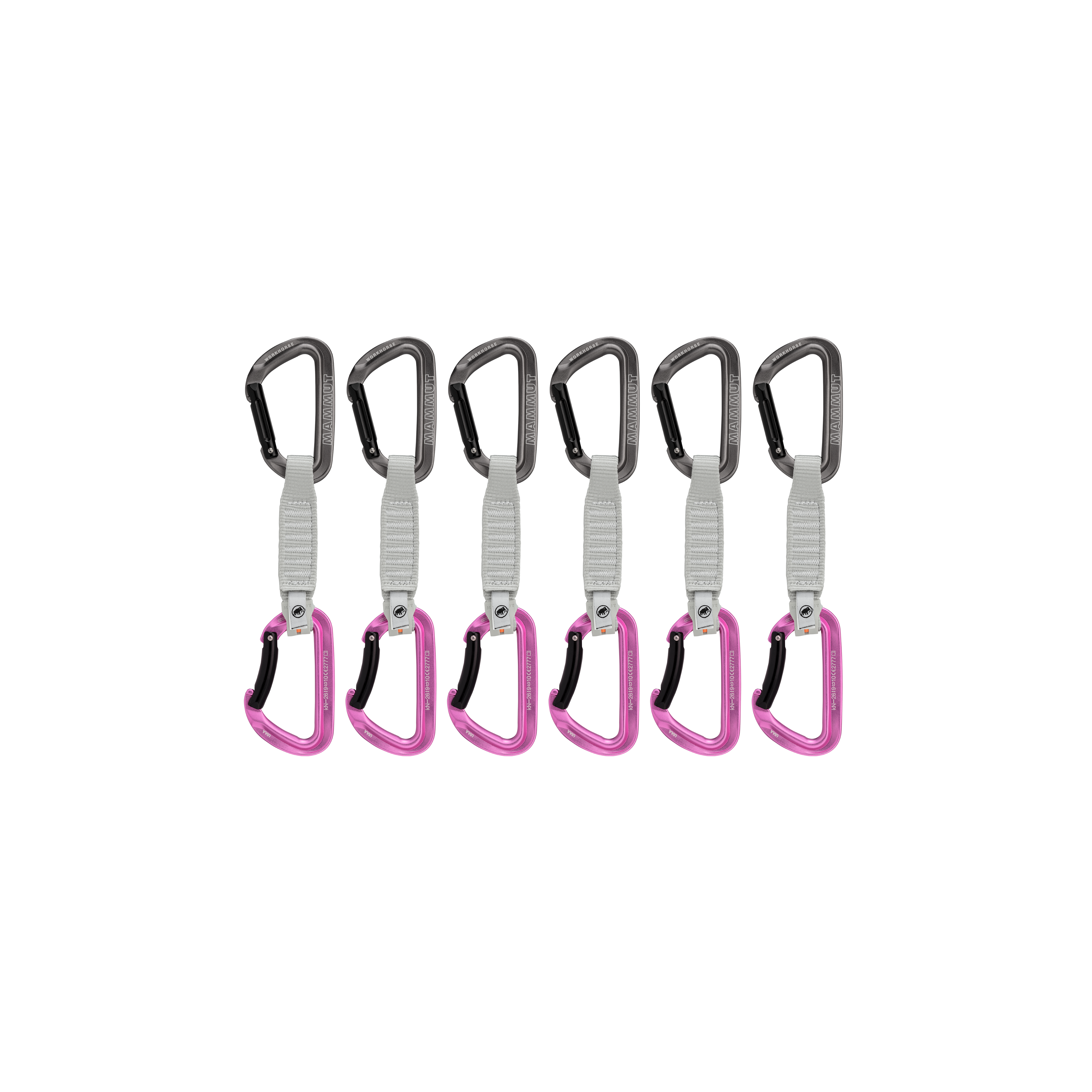Workhorse Keylock Quickdraws | 6 Pack