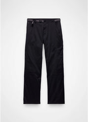 Men's Stretch Zion Carpenter Pant