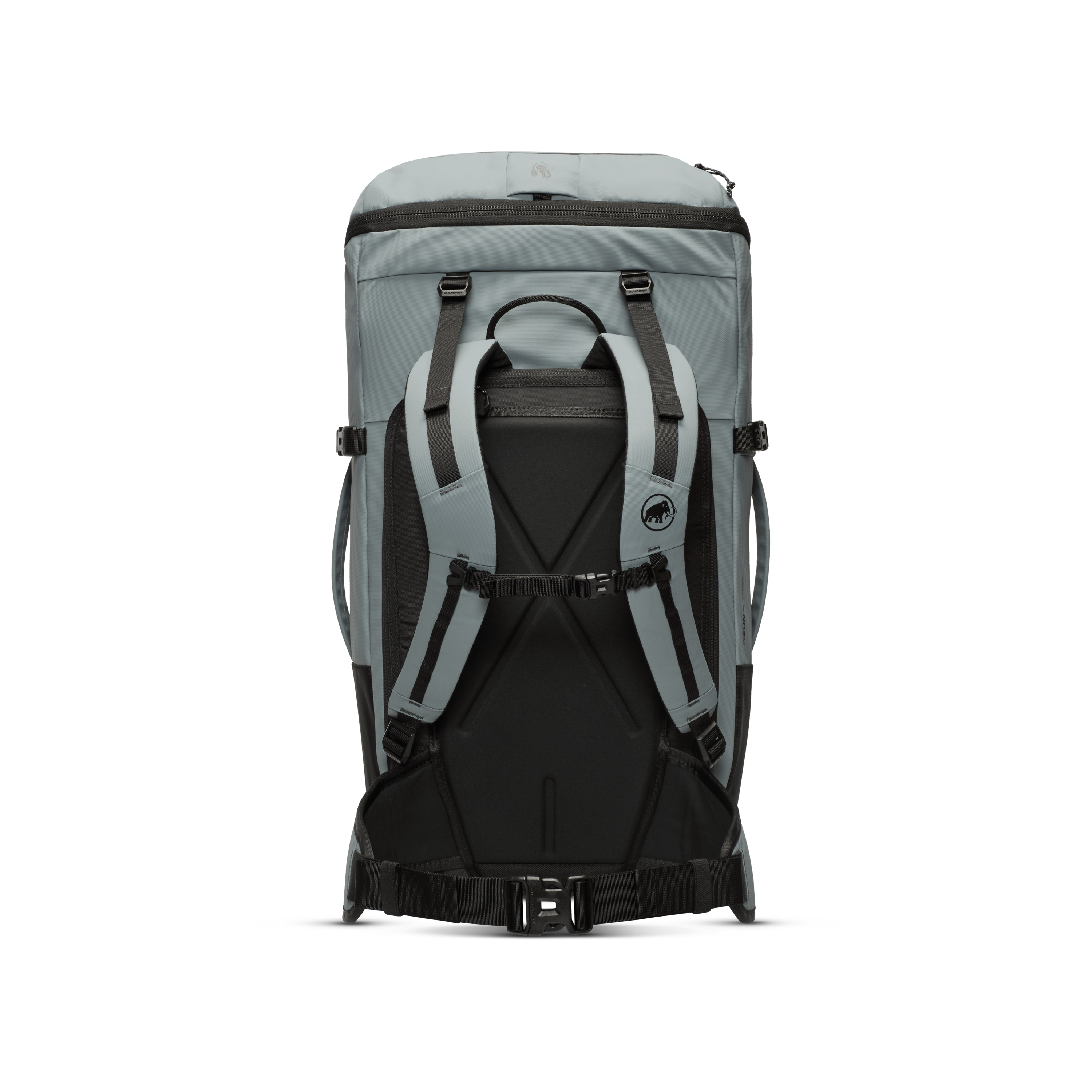 Neon 55 W Pack