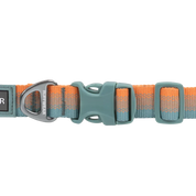 Front Range Dog Collar