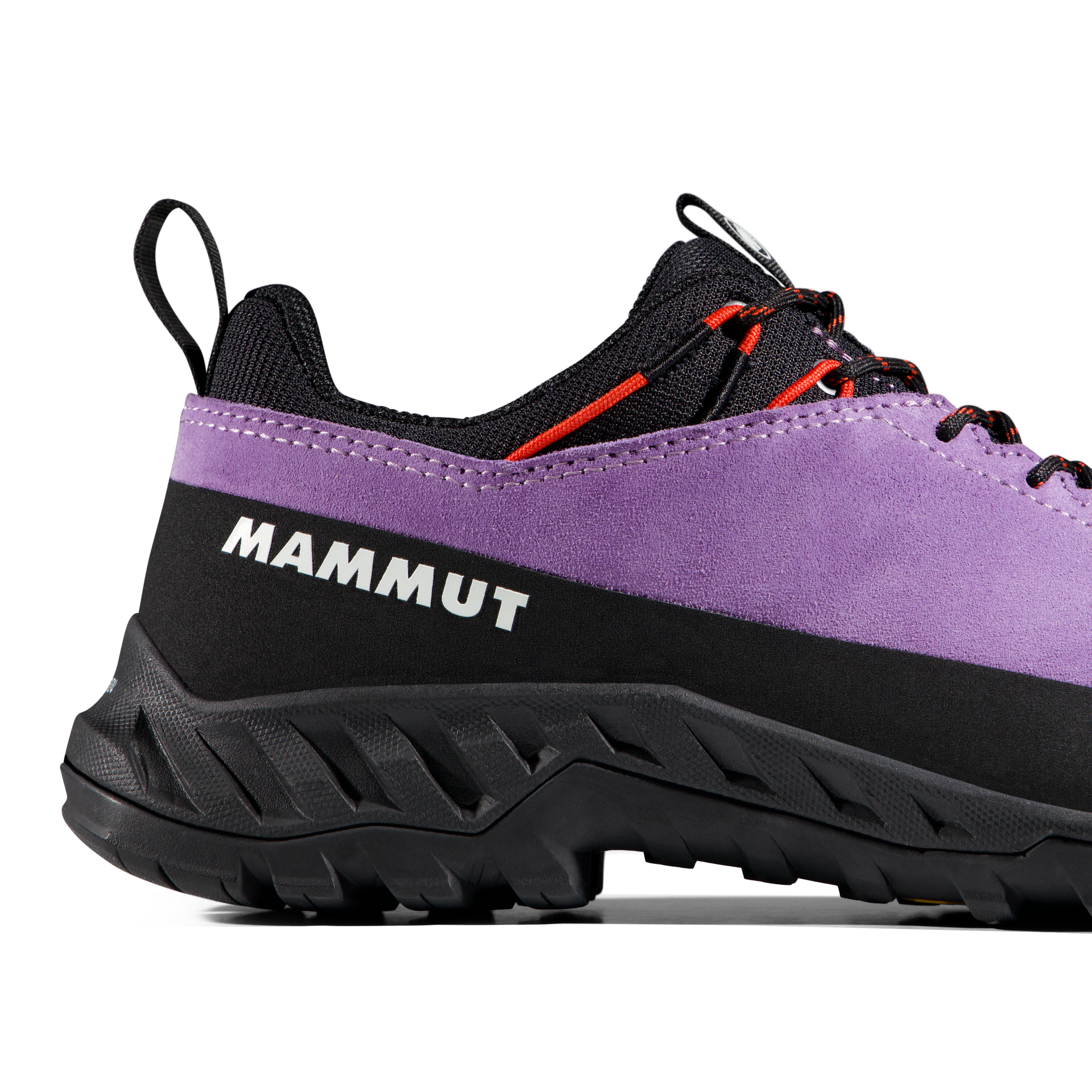 Women's Alnasca IV Low LTH Shoes