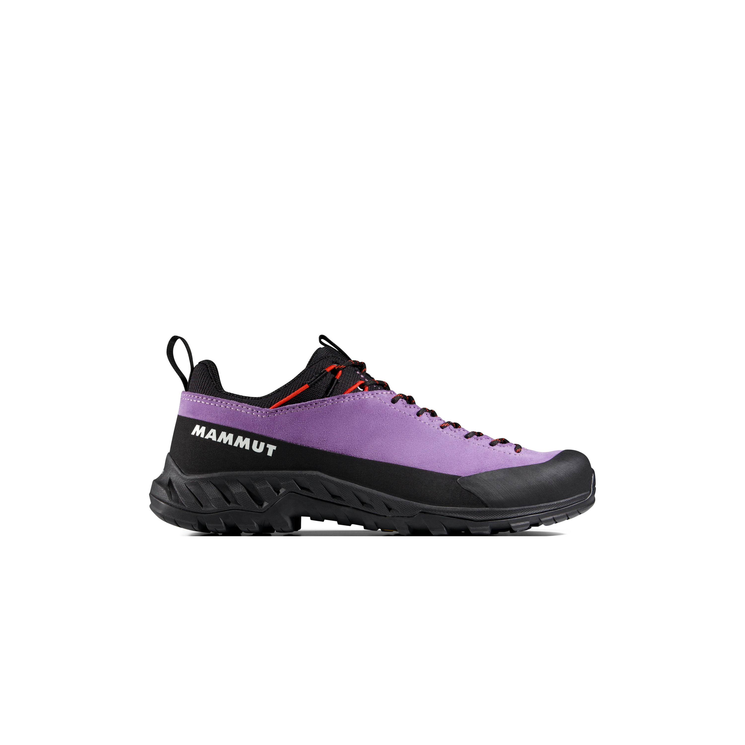 Women's Alnasca IV Low LTH Shoes