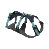 Dog Gear