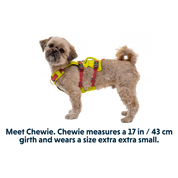 Flagline Dog Harness with Handle