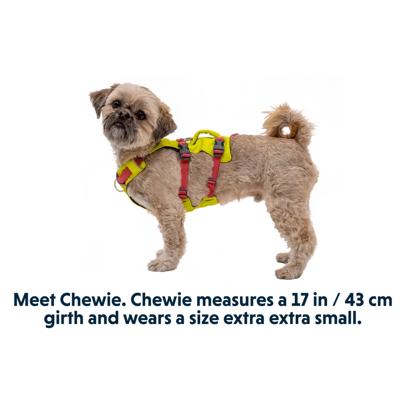 Flagline Dog Harness with Handle