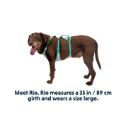 Flagline Dog Harness with Handle