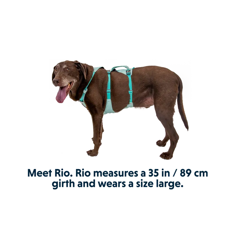 Flagline Dog Harness with Handle