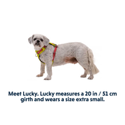 Hi & Light Lightweight Dog Harness