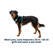 Hi & Light Lightweight Dog Harness