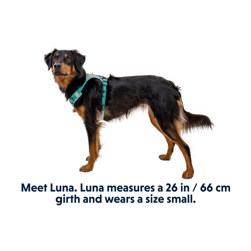 Hi & Light Lightweight Dog Harness