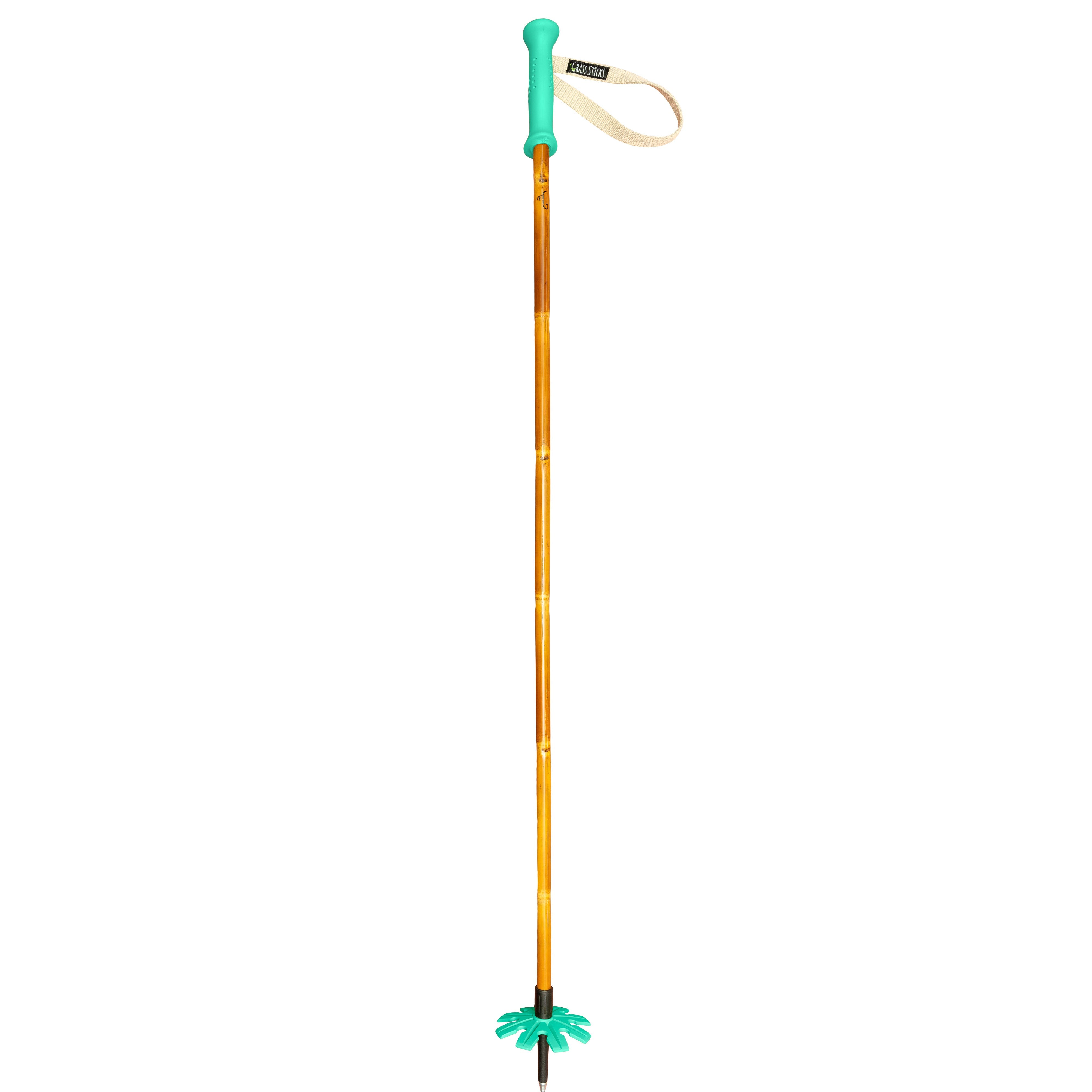 Original Bamboo Ski Poles