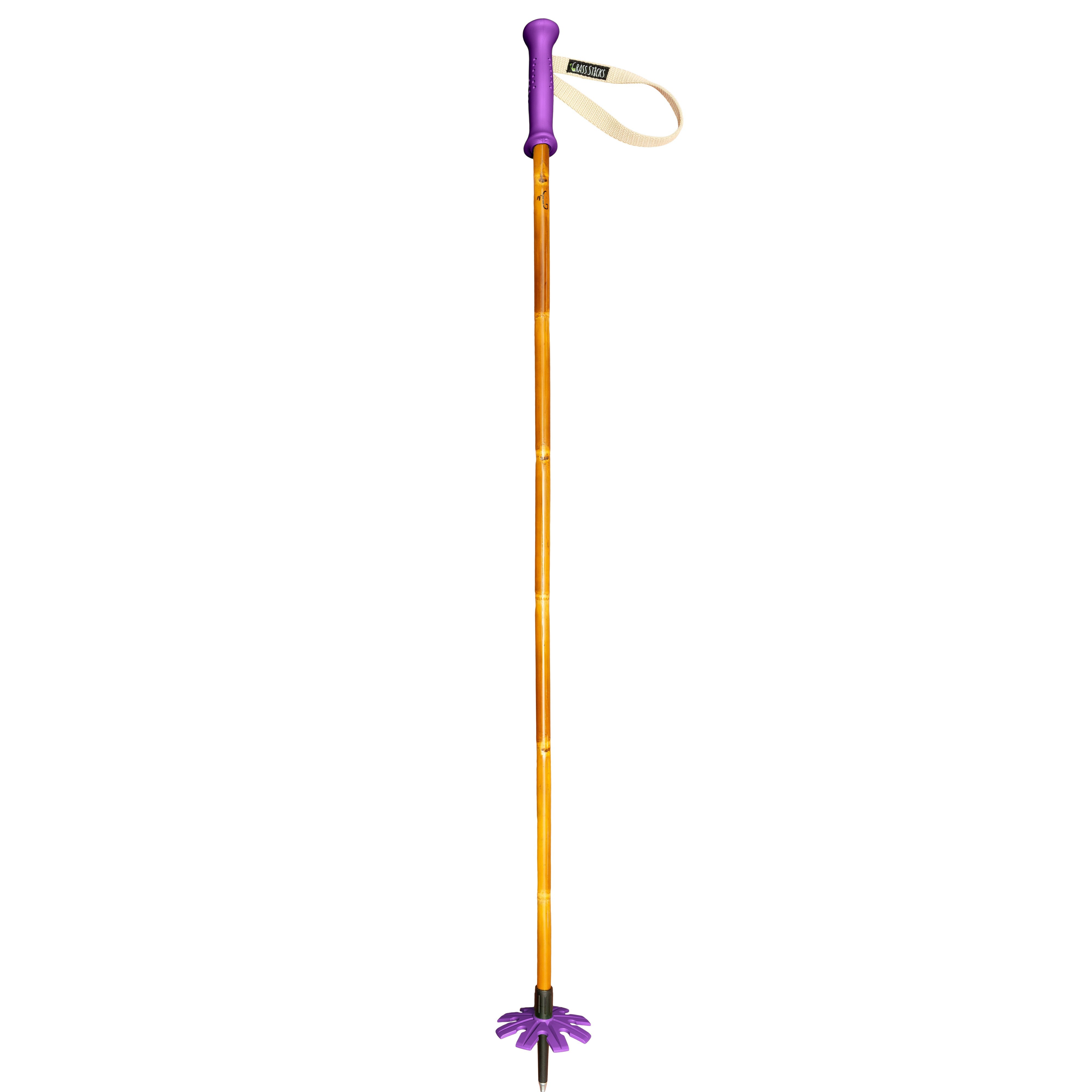 Original Bamboo Ski Poles