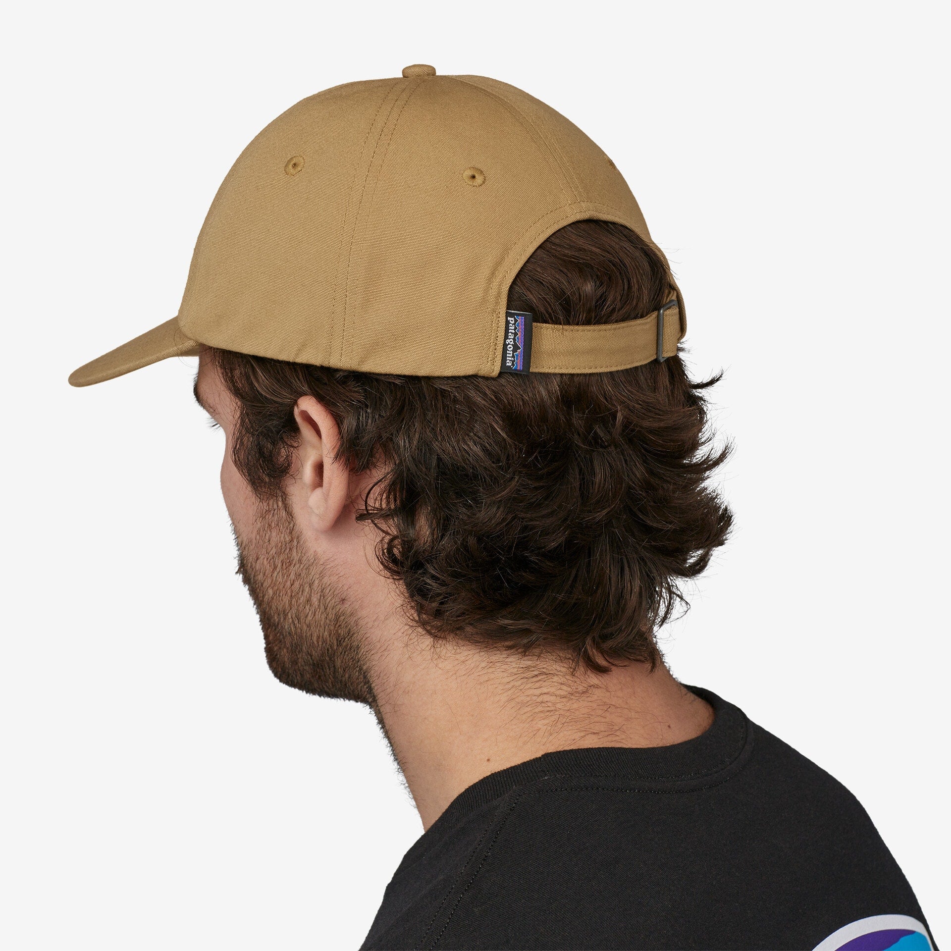 Patagonia Fitz Roy Icon Trad Cap