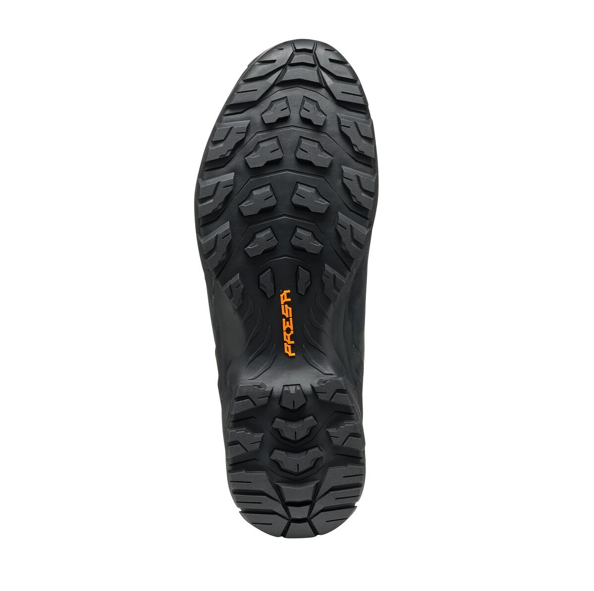 Men's Moraine Polar GTX Hiking Boots
