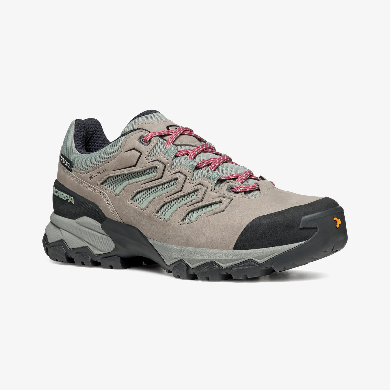 Women's Moraine GTX Shoes