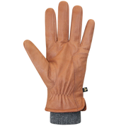 Men's Aiden Gloves