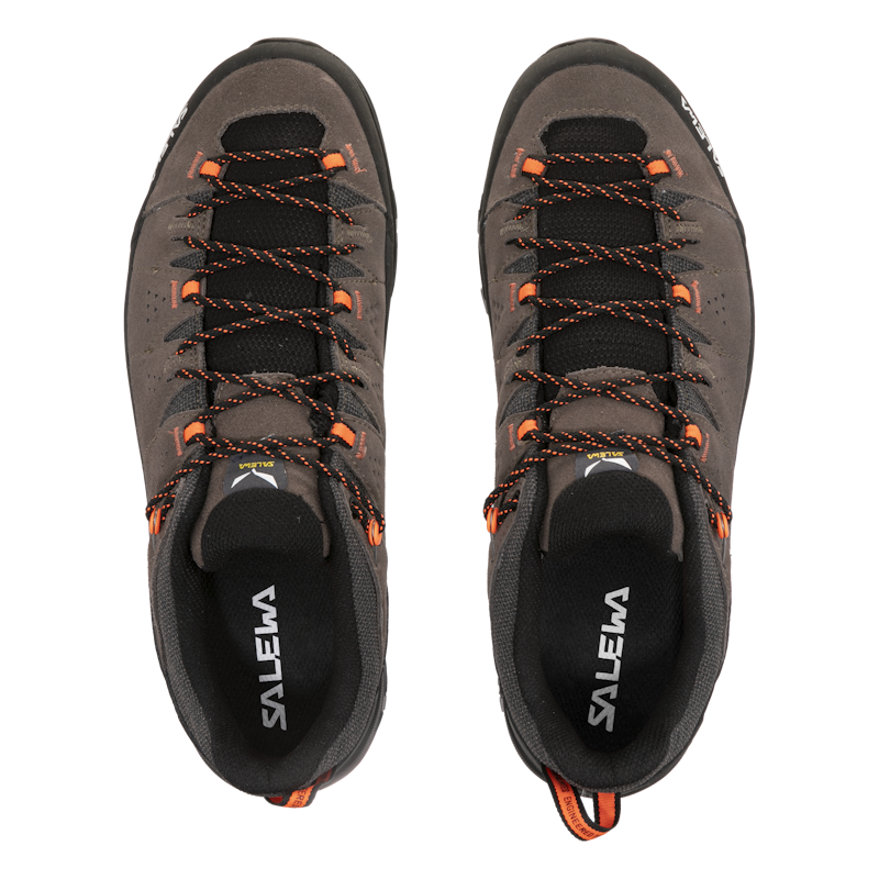 Men's Alp Trainer 2 Hiking Shoes